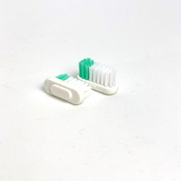 Cabezales de recambio cepillo dental, Lamazuna