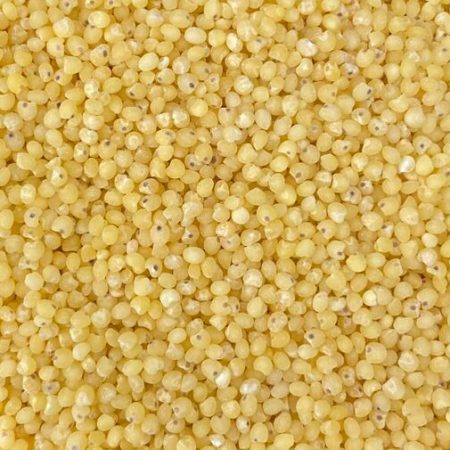 semillas de mijo pelado a granel alimentacion