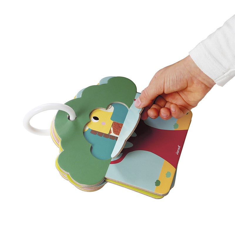 Cartas táctiles Sabana, Janod