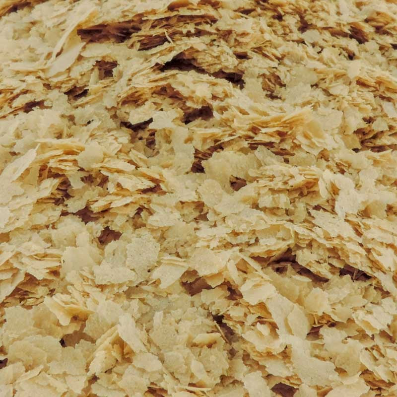 levadura de cerveza a granel alimentacion