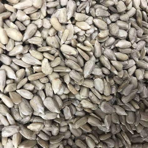 pipas de girasol a granel alimentacion