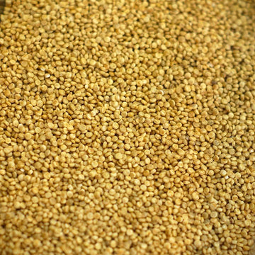 quinoa real a granel alimentacion